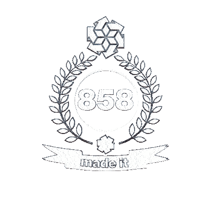 858